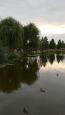 IMG-20160920-WA0006